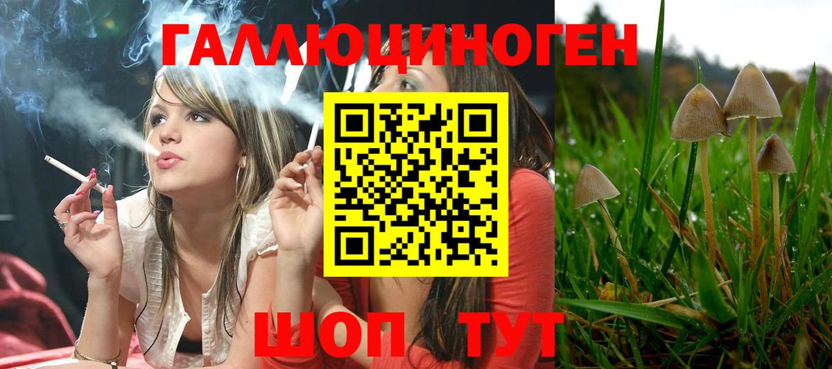 Можга  Галлюциногенные грибы ЛСД  Галлюциногенные грибы мухоморы  Вход с VPN 